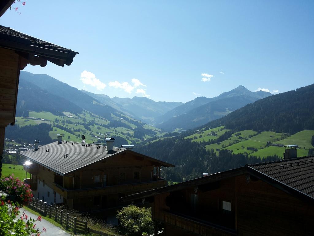 Apartmán Alpbach 646 Pokoj fotografie