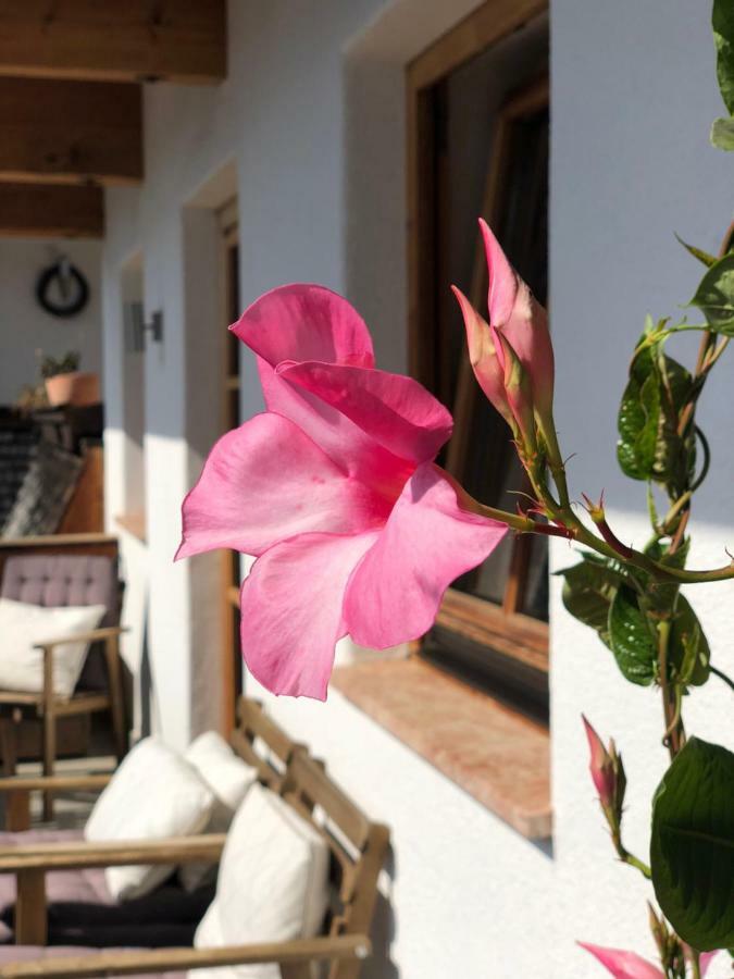 Apartmán Alpbach 646 Exteriér fotografie